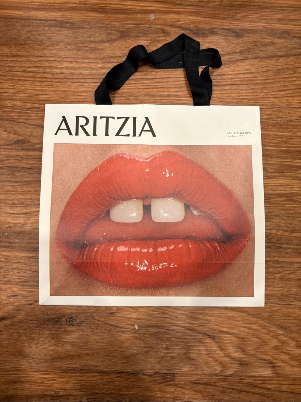 Free with purchase - Aritzia Shopping Bag